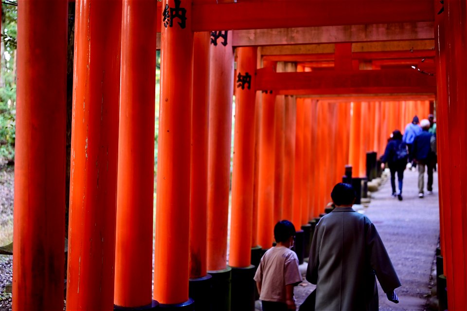 伏見稲荷/Fushimi Inari Shrine