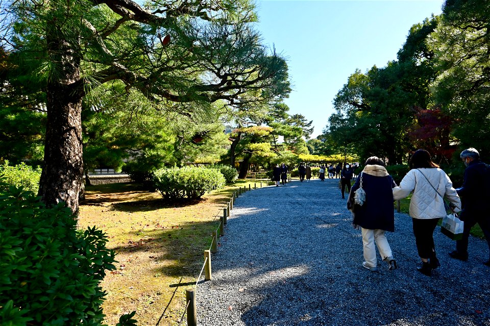 京都宇治平等院鳳凰堂 / Byodoin Hoohdo temple in Kyoto