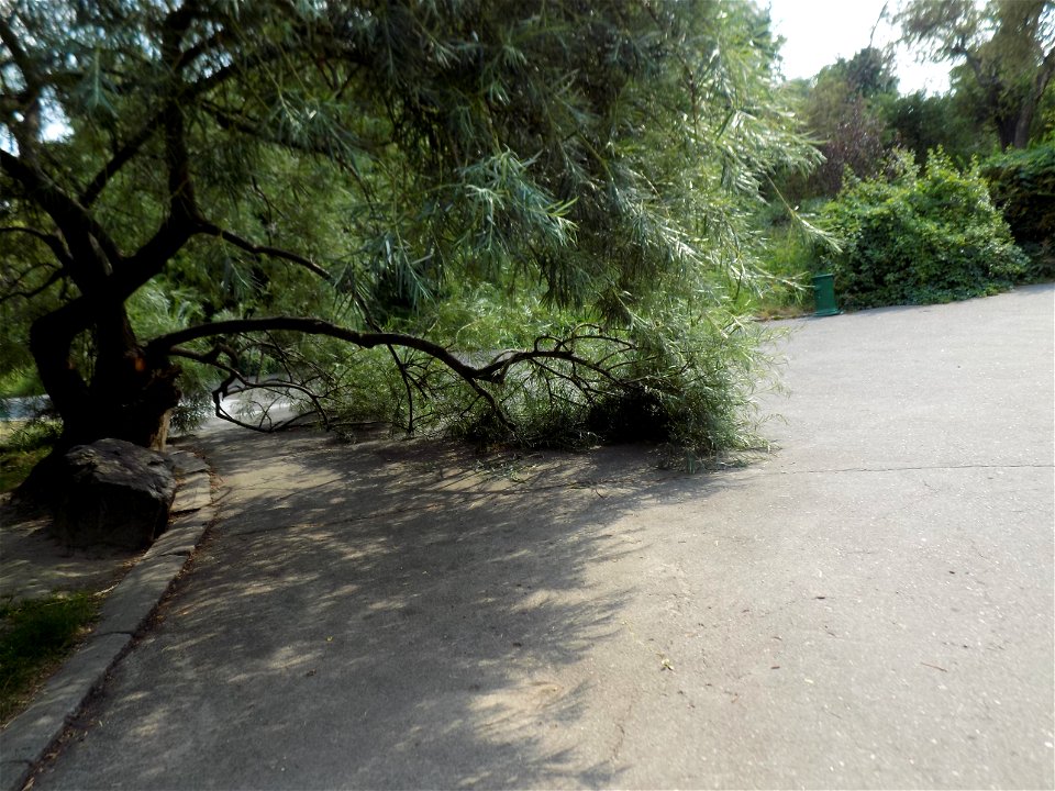 Hryshko National Botanical Garden