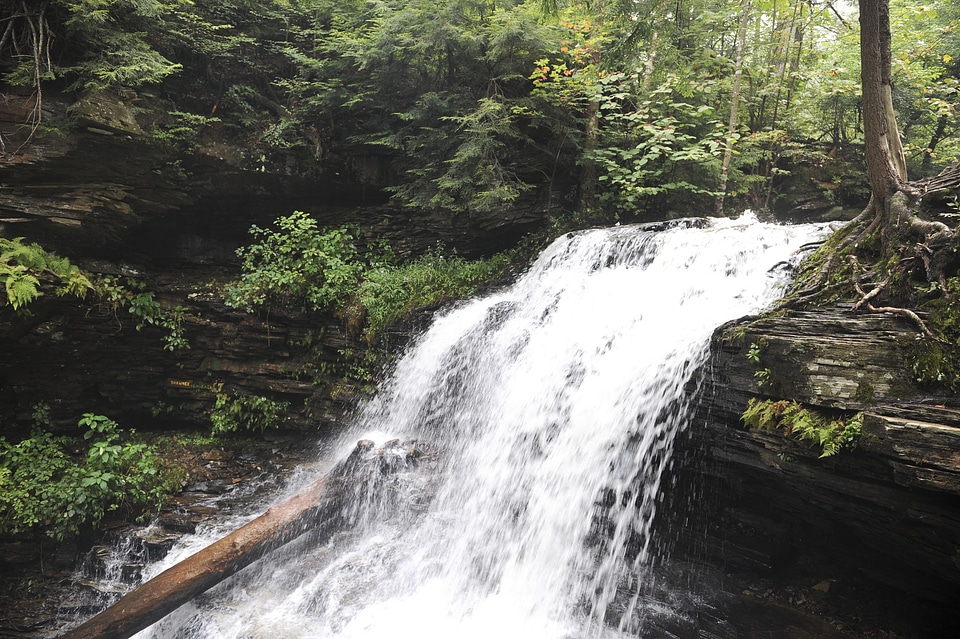 Ricketts Glen State Park