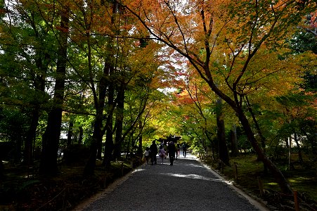 京都龍安寺/Kyoto Ryoanji