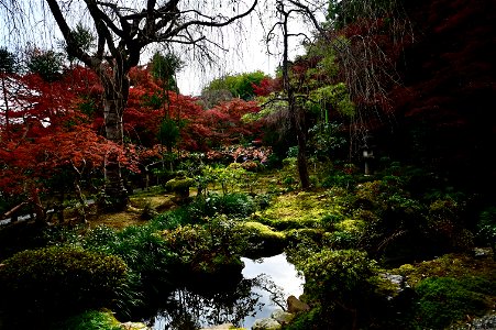 京都龍安寺/Kyoto Ryoanji