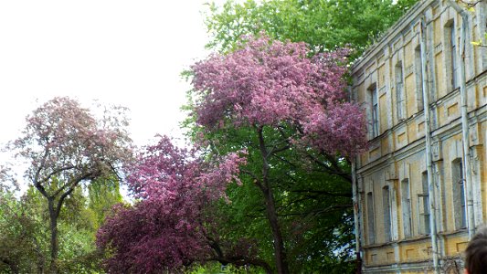 Hryshko National Botanical Garden