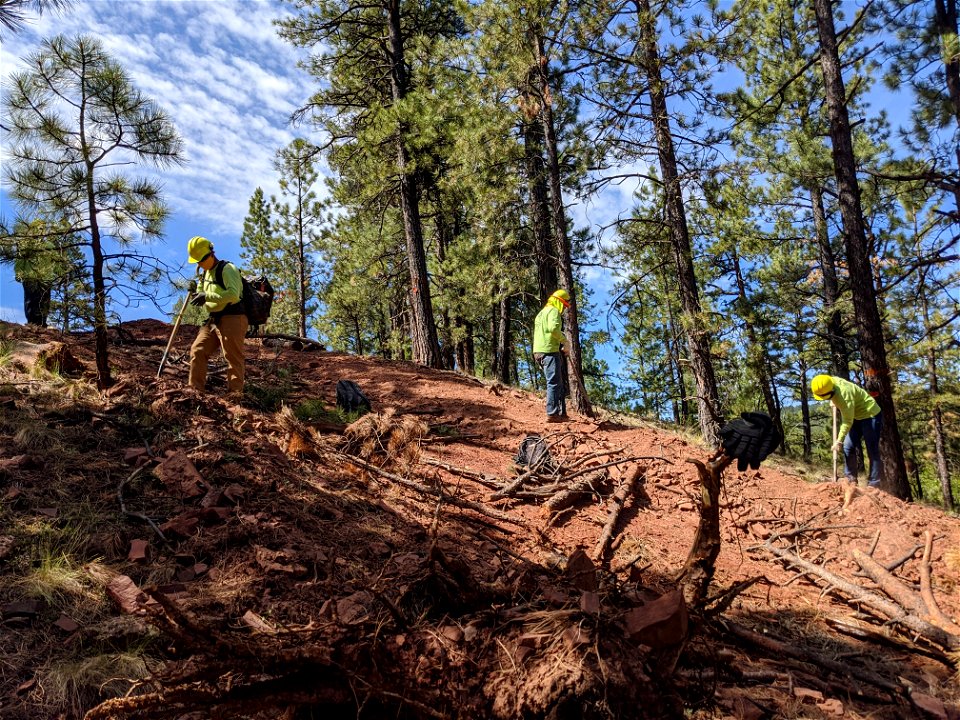 Mt. Taylor RD Road Restoration