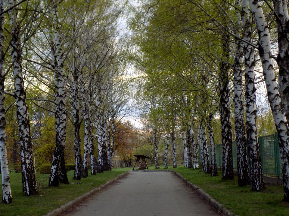 Hryshko National Botanical Garden