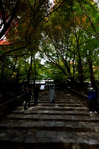 京都龍安寺/Kyoto Ryoanji