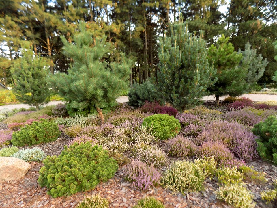 Hryshko National Botanical Garden