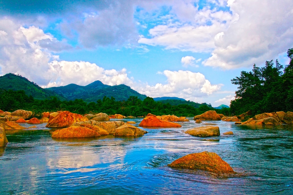landscape with mountains trees and a river in front