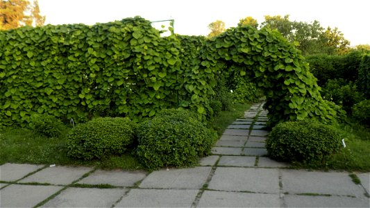 Hryshko National Botanical Garden