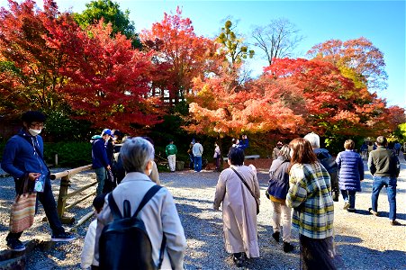 京都宇治平等院鳳凰堂 / Byodoin Hoohdo temple in Kyoto