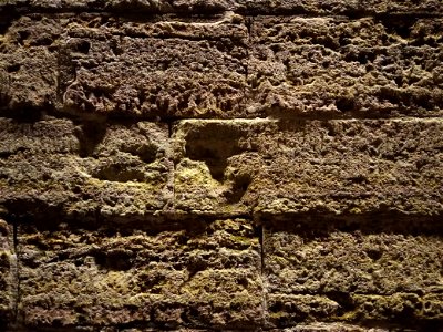Bricks of Peter and Paul Fortress photo