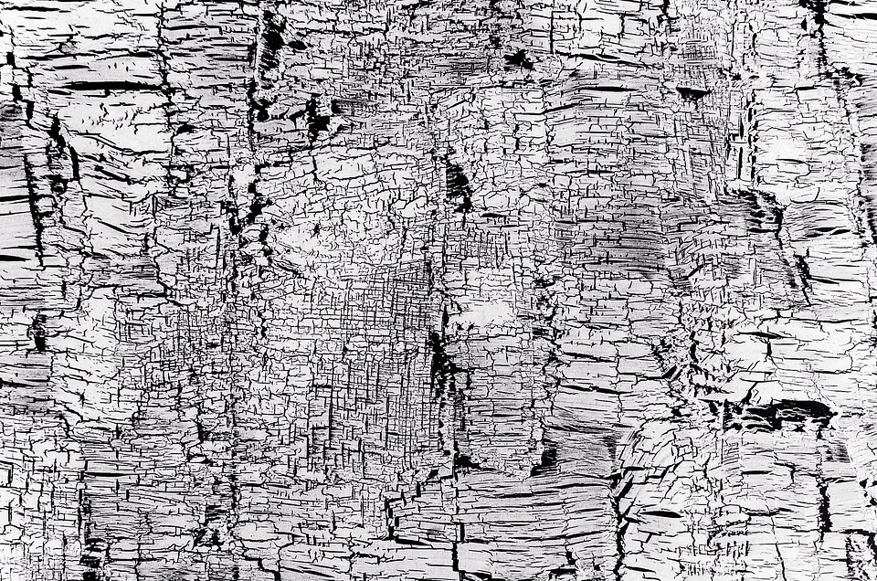 Black And White Background
