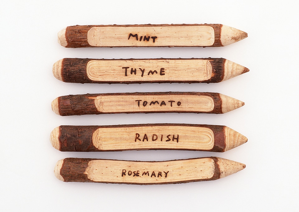 Various types of herbs with name tags