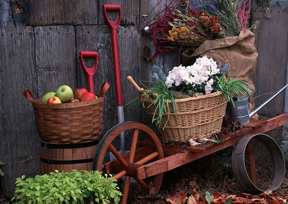 gardening tools outside the potting