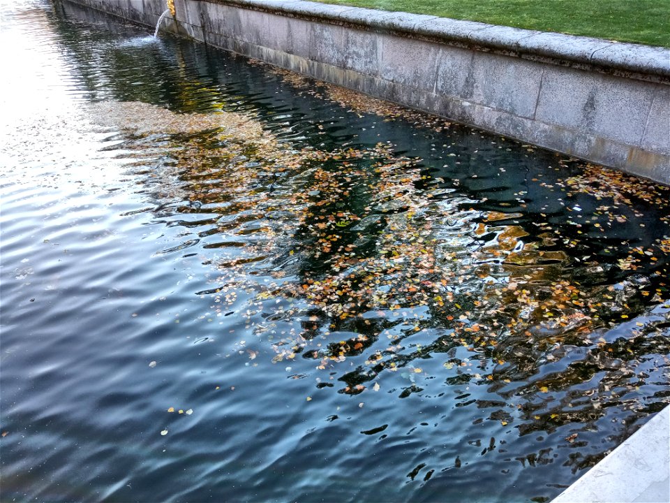 Autumnal murky water