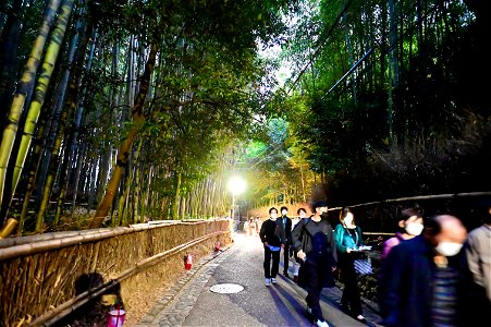 嵐山と竹林の小径 / Kyoto Arashiyama and Bamboo forest path