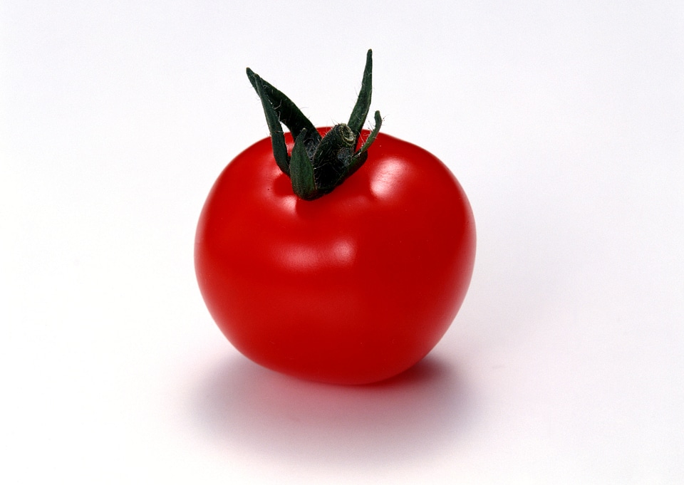 one fresh red tomato