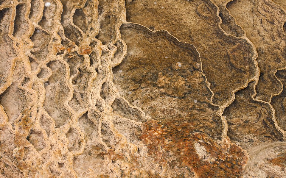 Yellowstone Texture