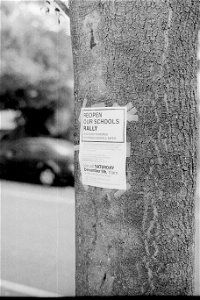 PICT0022-edited