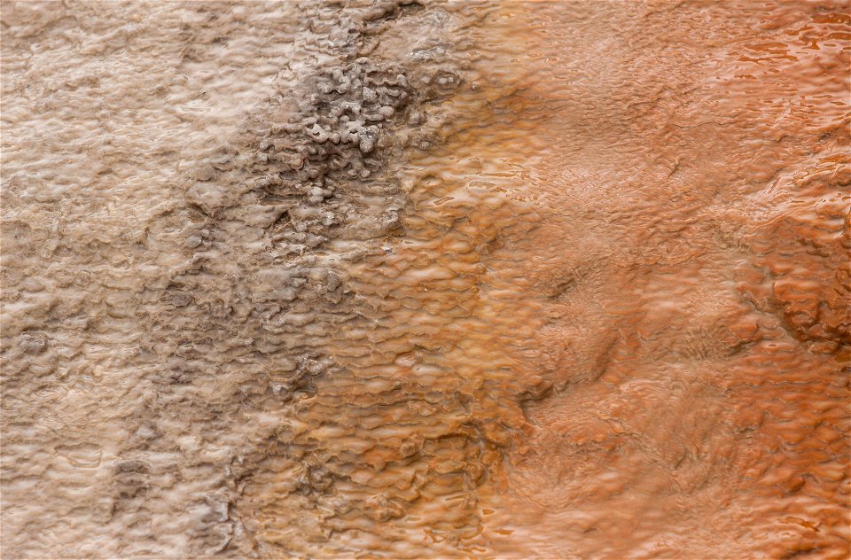 Yellowstone Texture