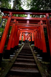 伏見稲荷/Fushimi Inari Shrine photo