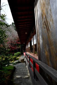 京都龍安寺/Kyoto Ryoanji