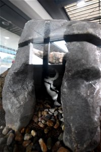 京都水族館 / Kyoto Aquarium