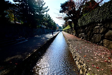 DSC_1200