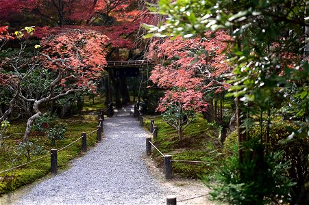 京都龍安寺/Kyoto Ryoanji