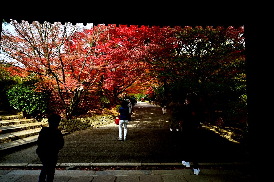 京都龍安寺/Kyoto Ryoanji