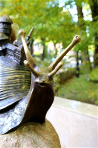 A snail for slow life
