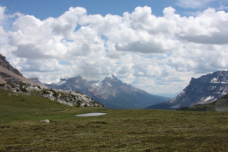 Niles Meadows, Yoho National Park British Columbia, Canada