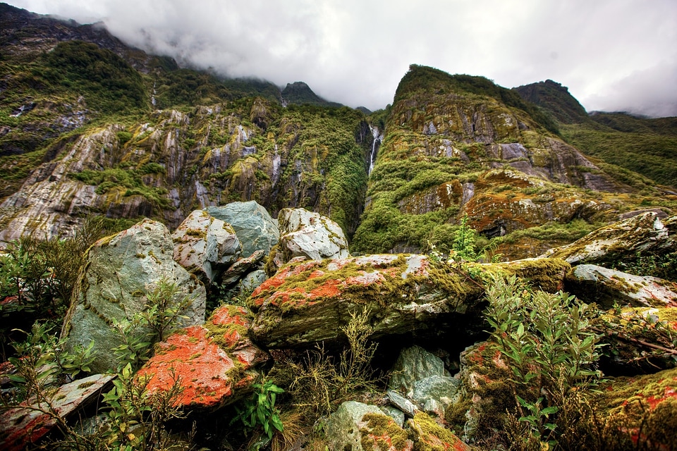 Catlins, Southland, Rainforest