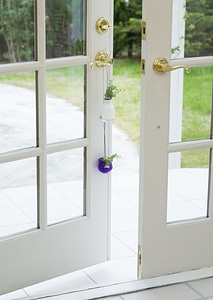 plants Pots hanging on the door