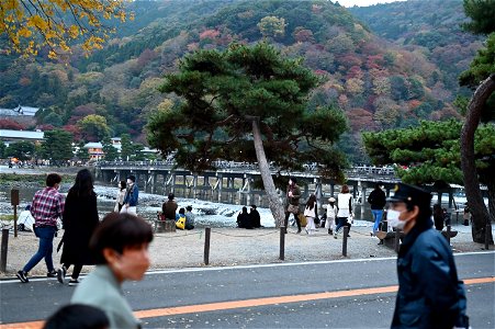 嵐山と竹林の小径 / Kyoto Arashiyama and Bamboo forest path photo