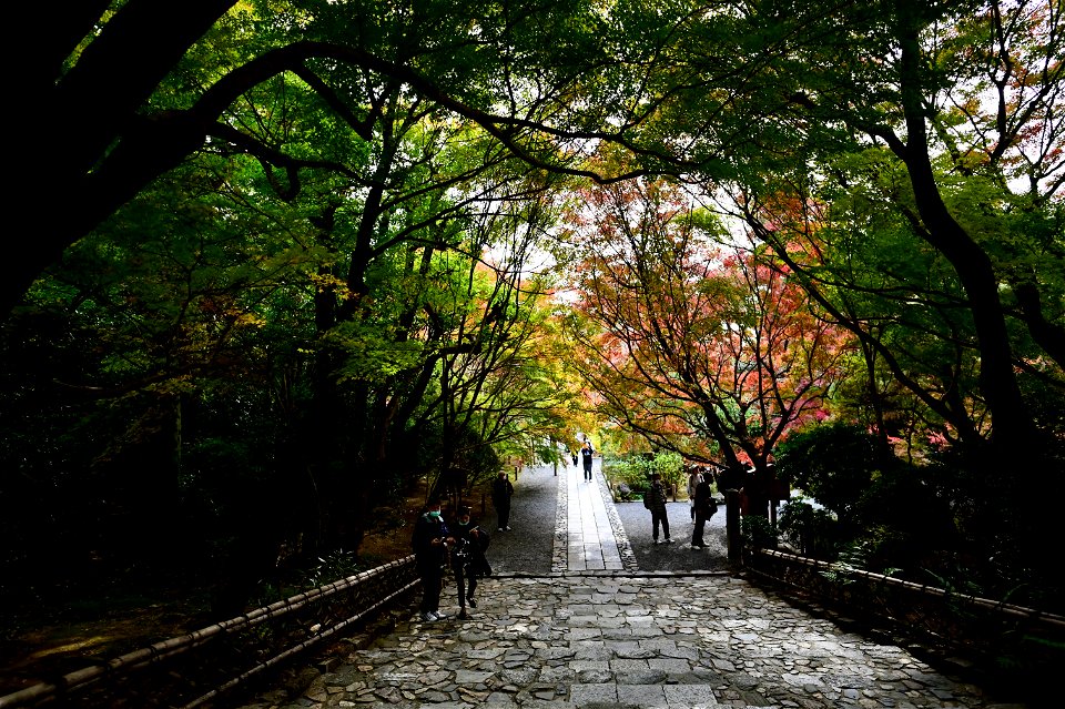 京都龍安寺/Kyoto Ryoanji