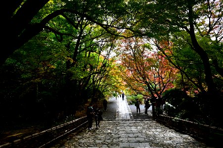 京都龍安寺/Kyoto Ryoanji