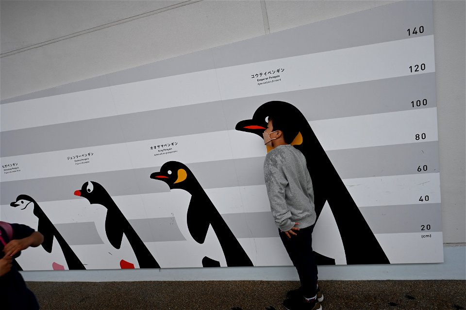 京都水族館 / Kyoto Aquarium