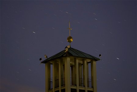 IMG_7205