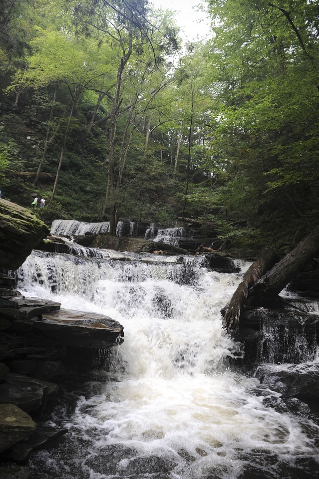 Ricketts Glen State Park