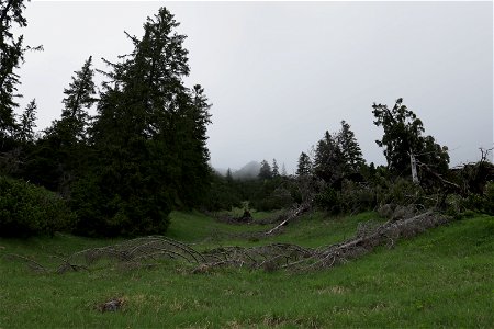 IMG_7099