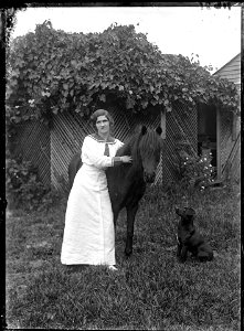 Ms Arrowsmith, [n.d.]