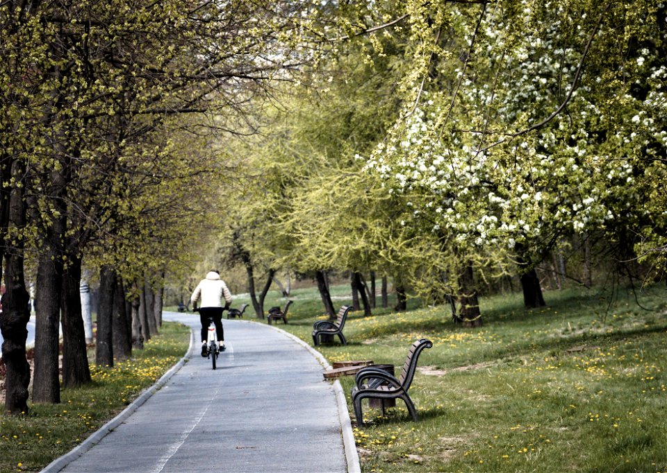 Riding a bicycle