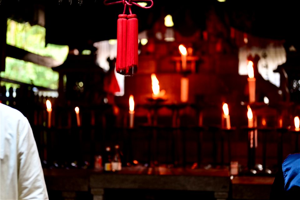 伏見稲荷/Fushimi Inari Shrine