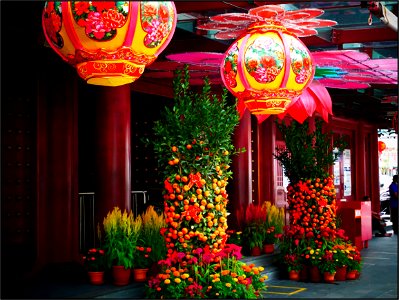 Decorations for CNY - mandarin oranges and lanterns photo