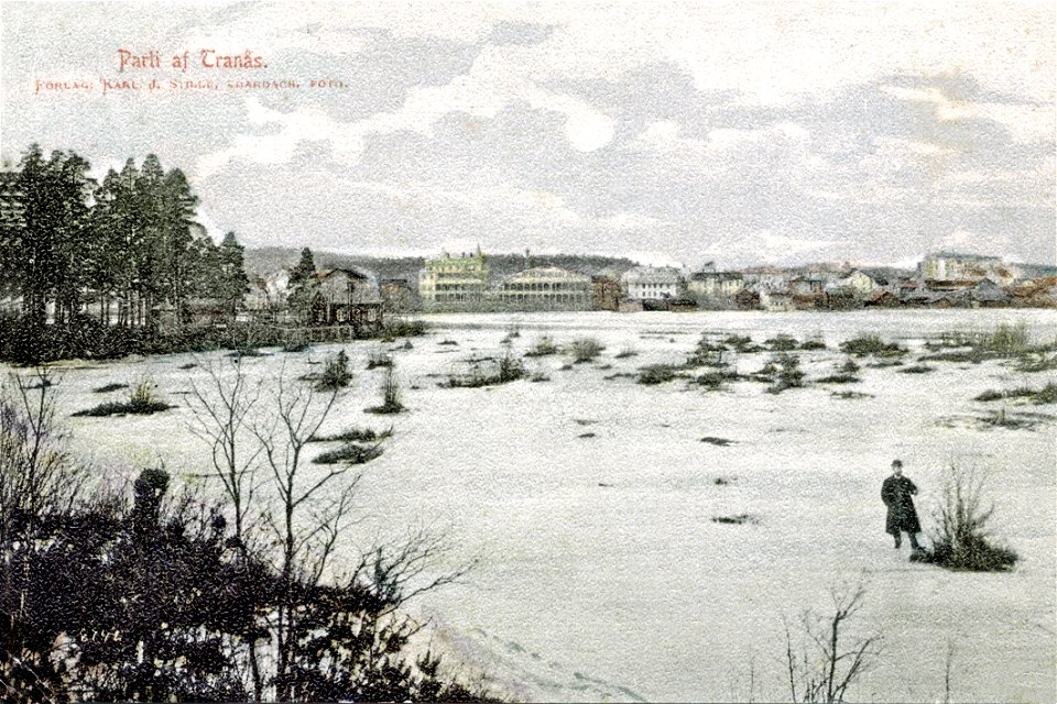 252 Östanåparken (med utsikt mot Kuranstalten,Gyllenfors) 1920