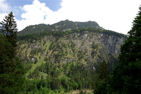 IMG_6878