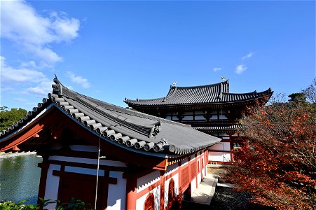 京都宇治平等院鳳凰堂 / Byodoin Hoohdo temple in Kyoto