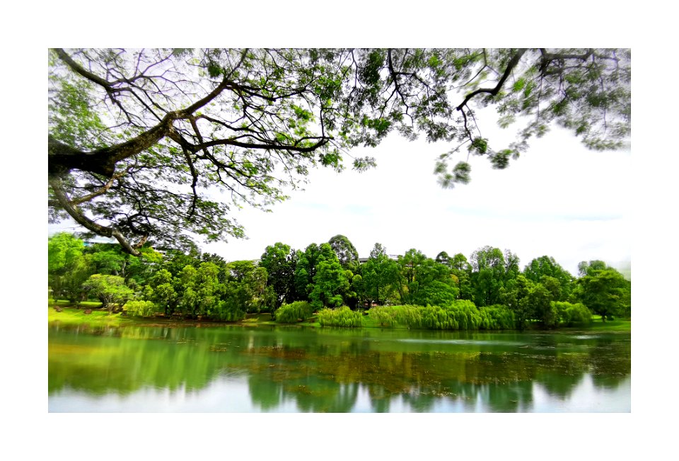 Bishan-AMK park