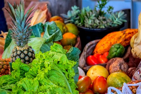 verduras e legumes